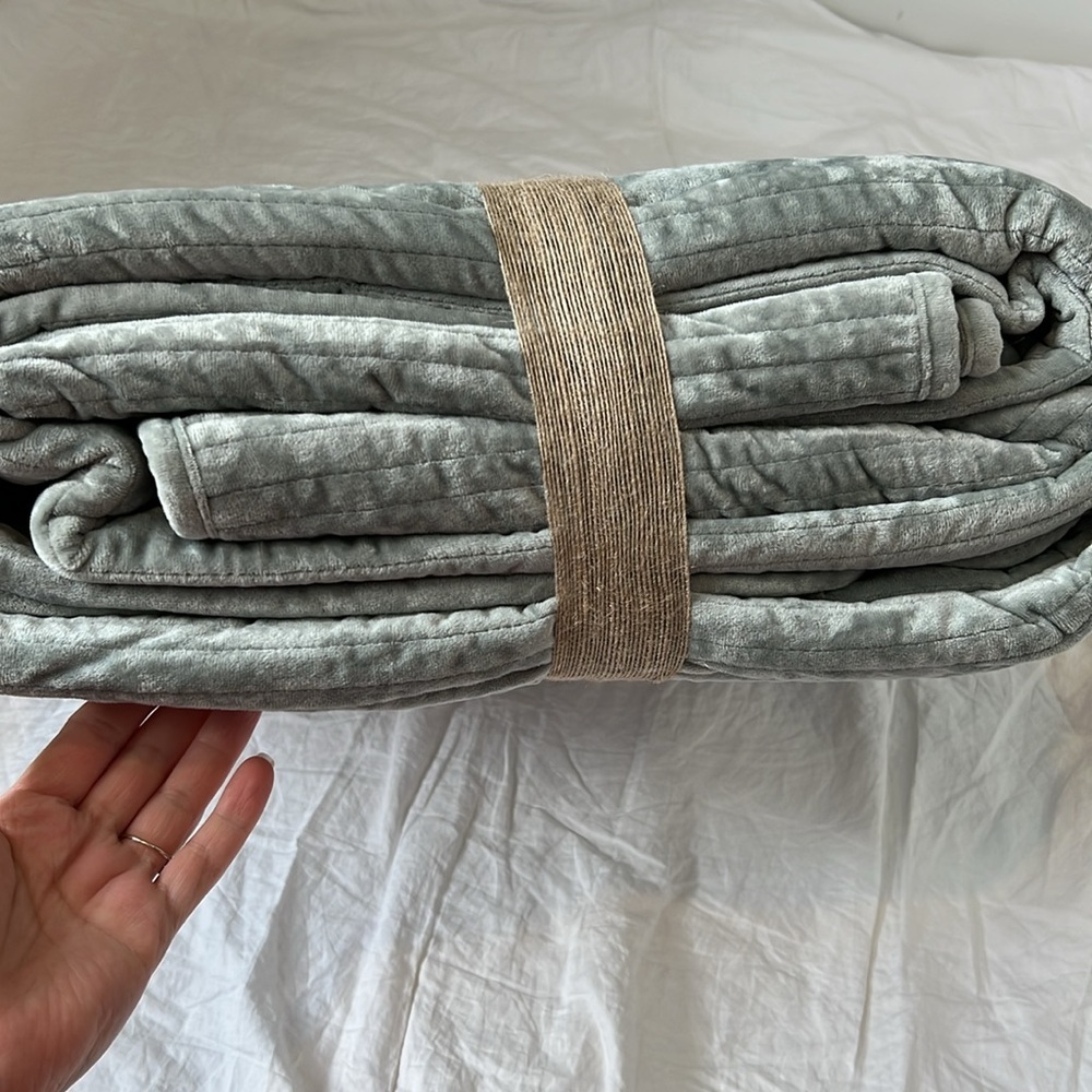 Fable Collection Ultra Soft Velvet Quilt Queen Bed Coverlet Smokey Jade NEW NWT - Picture 10 of 14